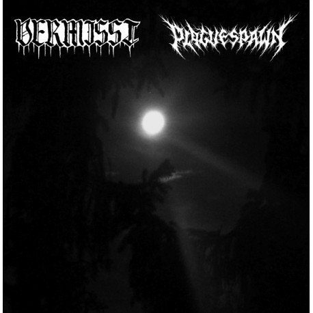 Vermisst / Plaguespawn - Lunar Emanations of Haunted Shrines - Hell is Here image 1