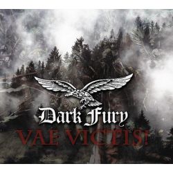 DARK FURY -  Vae Victis ! cd - Lower Silesian Stronghold image 1