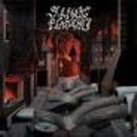 STINY PLAMENU - Mrtva Komora  cd