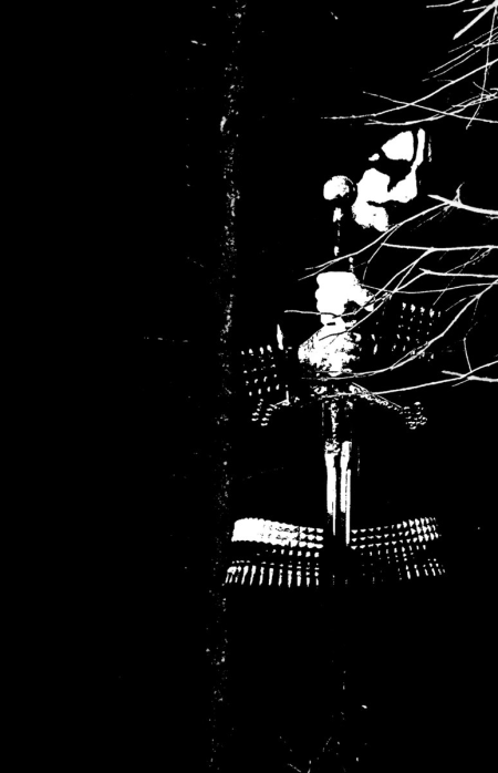 Labyrinthine Haze(swe.) - Descending into the Deep cd