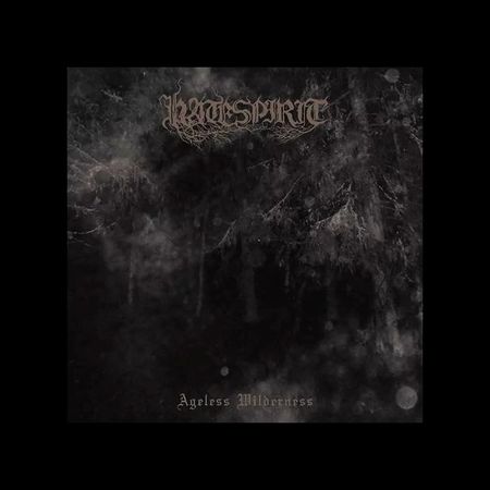 HATESPIRIT - Ageless Wilderness . LP