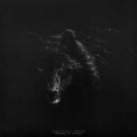 SEMPER FIDELIS / WEREWOLF 