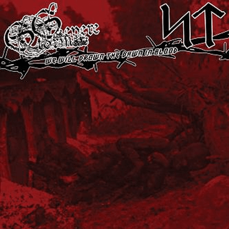 Severe Storm / Slavecrushing Tyrant :We Will Drown the Dawn in Blood dplit cd 