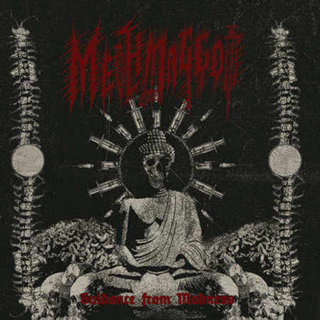 Methmaggot : Guidance from Madness cd 