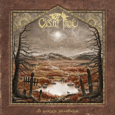 Olshanoe - Into the Wild cd 