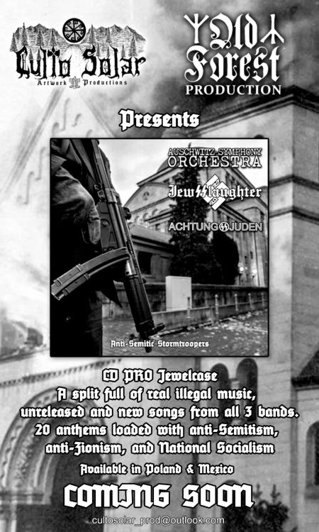 Auschwitz Symphony Orchestra /JewSSlaughter/Achtung Juden -  Anti Semitic Stormtroopers  split cd PREORDER !