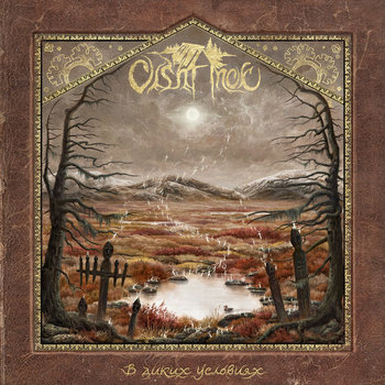 Olshanoe - Into the Wild cd 